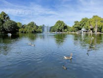 Go for a stroll in Victoria Park