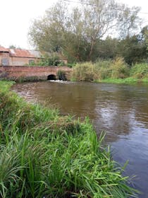 Explore the Serene River Bure