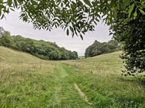 Explore Ringstead Downs