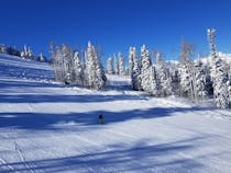 Experience the Posh Skiing at Deer Valley Resort