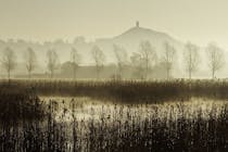 Explore the Avalon Marshes Centre