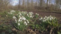 Explore Braywick Nature Centre