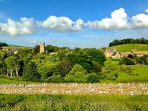 Explore the Charming Locality of Abbotsbury