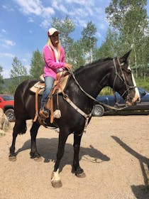 Experience Vail Stables