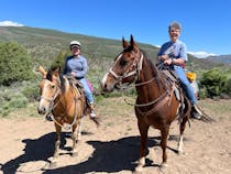Explore Bearcat Stables