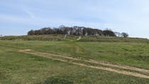 Explore the Ancient Hill Fort at Badbury Rings