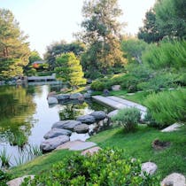 Escape to the Tranquil Oasis of the Japanese Friendship Garden
