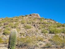 Explore the Spectacular Views at Phoenix Mountain Preserve - 40th St. Trailhead