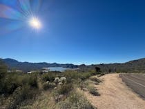 Explore the Wonder of Tonto National Forest