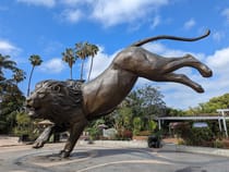 Explore the San Diego Zoo