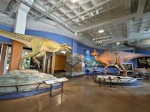 Explore the Fascinating San Diego Natural History Museum
