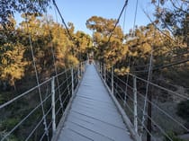 Experience the Thrills of Spruce Street Suspension Bridge