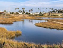 Explore Famosa Slough