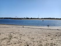 Explore Fiesta Island Park