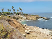 Explore the Enchanting La Jolla Cove