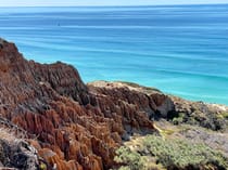 Explore Torrey Pines State Natural Reserve