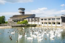Explore the Wildfowl and Wetlands at WWT Slimbridge