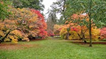Explore Westonbirt's Breathtaking Arboretum
