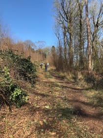 Prior's Wood