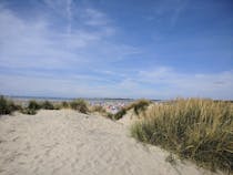 Explore West Wittering Beach