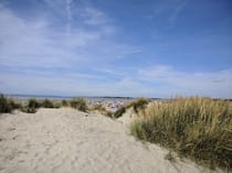 Explore West Wittering Beach