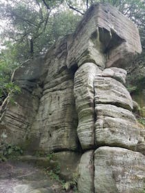 Explore Eridge Rocks Nature Reserve
