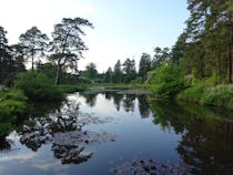 Explore Bedgebury National Pinetum and Forest