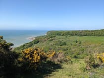 Explore the Breathtaking Hastings Country Park