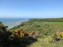 Explore the Breathtaking Hastings Country Park