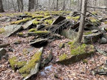 Explore Sloan Gorge Preserve