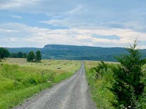 Explore the Scenic River-to-Ridge Trail