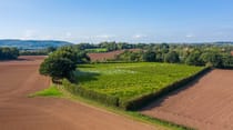 Explore Astley Vineyard