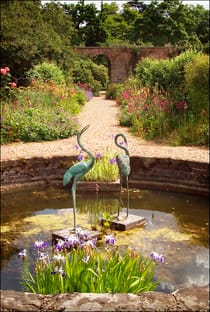 Explore Spetchley Park Gardens