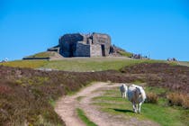 Moel Famau