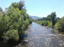 Float along the Yampa River