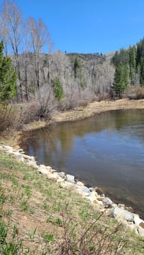 Explore Spring Creek Dog Park