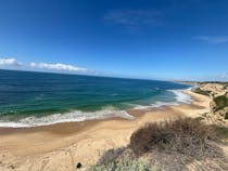 Explore the Natural Beauty of Crystal Cove State Park