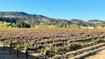 Savour Wine and Serenity at Sunstone Winery