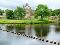 Explore the Historic Bolton Abbey