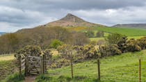 Hike to Roseberry Topping