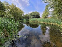 Explore Stotfold Watermill & Nature Reserve