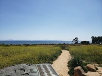 Explore Carpinteria Bluffs Trailhead