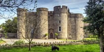 Explore the Enchanting Upton Castle Gardens