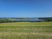 National Trust - Cleddau Woodlands
