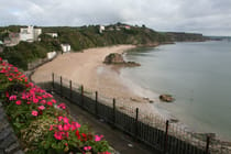 Relax on Tenby North Beach
