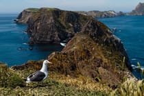 Explore Channel Islands National Park