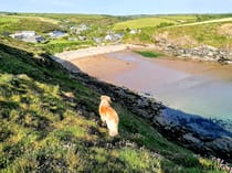 Explore Nolton Haven Beach