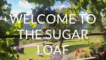 Experience Sugar Loaf Vineyards