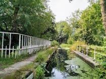 Explore the Tranquil Montgomery Canal Towpath