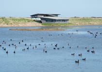 Explore RSPB Titchwell Marsh